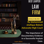 The Importance of Documentary Evidence in a Successful Asylum Case.