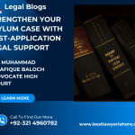"Strengthen Your Asylum Case with Post-Application Legal Support"