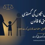 ماں باپ اور بچہ پاکستان میں بچوں کی کسٹڈی کا قانون ایڈووکیٹ محمد شفیق بلوچ