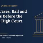 CNSA narcotics cases bail under section 51 and appeals under section 48 before the Lahore High Court