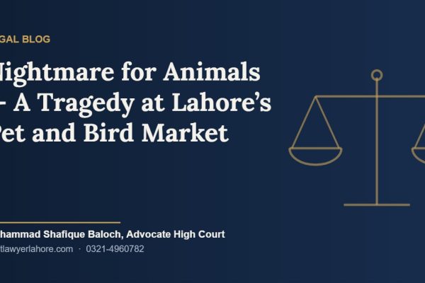 Nightmare for Animals — A Tragedy at Lahore’s Pet and Bird Market