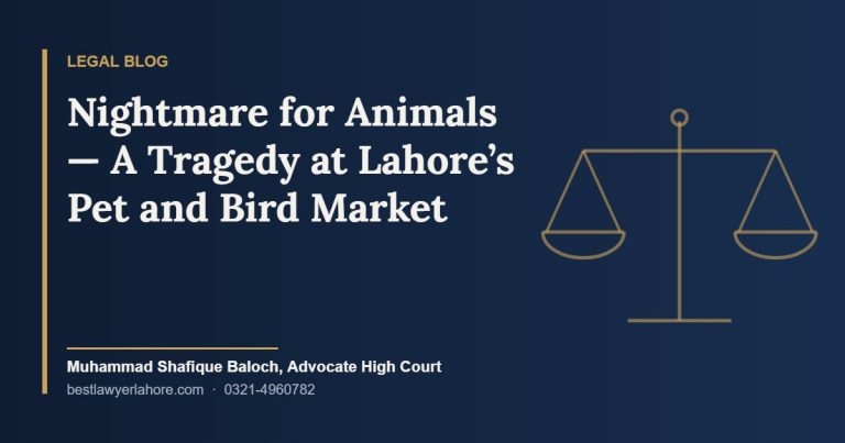 Nightmare for Animals A Tragedy at Lahores Pet and Bird Market